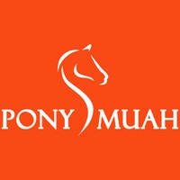 【PM電子遊戲介紹】原OB電子系統煥新升級,開啟娛樂新時代! 1 PM電子